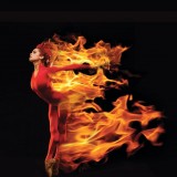 The Firebird Tweets (Part One)