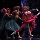 The Firebird Tweets (Part Three: World Première, Segerstrom Center for the Arts)