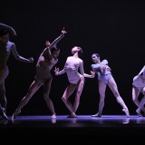 Is Beauty Enough, or Do We Need Meaning?