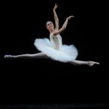 Ghosts, Shades and an Exotic Firebird