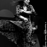 Spotlight on San Francisco’s Flamenco fusion